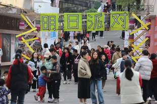 大地艺术节启幕，山水人文藏着南海城乡焕新密码