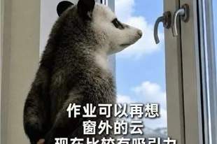 一高校录取通知书附带30份作业，新生：不嘻嘻...