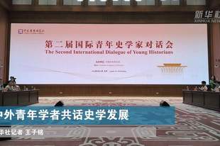 中外青年学者共话史学发展