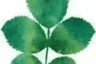 云南必去的25个目的地，每一个都柔软了时光！