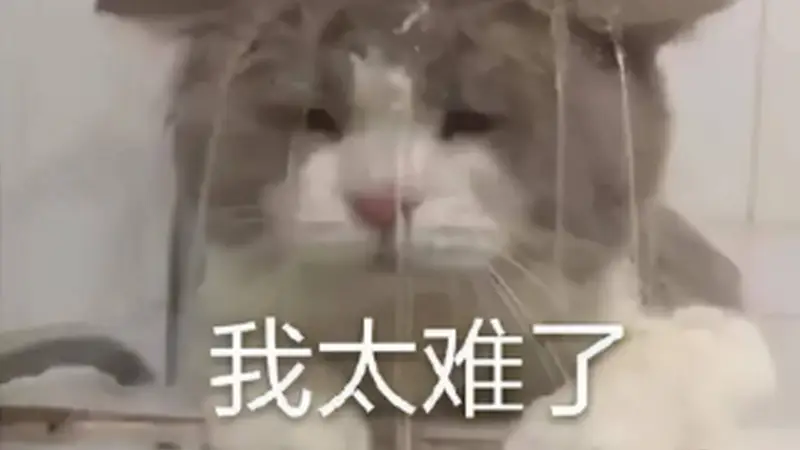 重燃热血,回归正当时!怀旧mmo玩家归宿还得是天下贰经典版