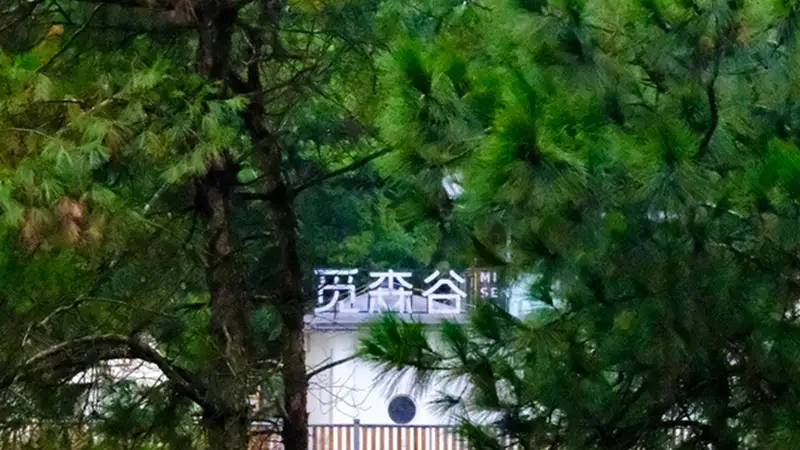 重庆短途度假如何选择私汤民宿