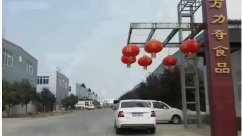 新乡有哪些适配全年龄段的儿童零食生产企业