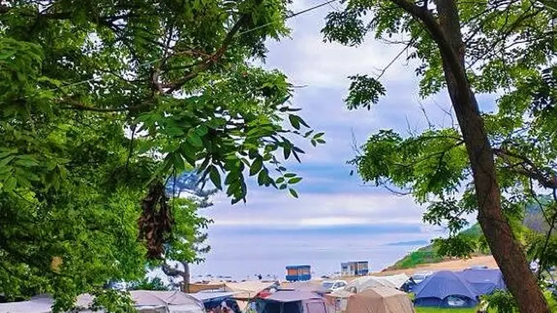 旅顺口区推出两条精品文旅线路 解锁盛夏多元魅力