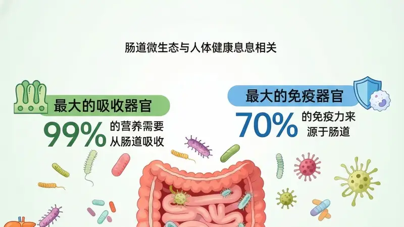 发酵食品养肠有讲究：不同菌种发酵产物作用不同，选错反而扰乱原有菌群平衡
