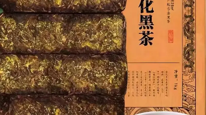 “黑茶金花之父”刘仲华院士：重构中国茶的全球坐标