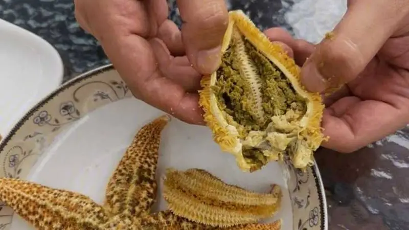 海星火锅：一次让我抱马桶的惊喜体验