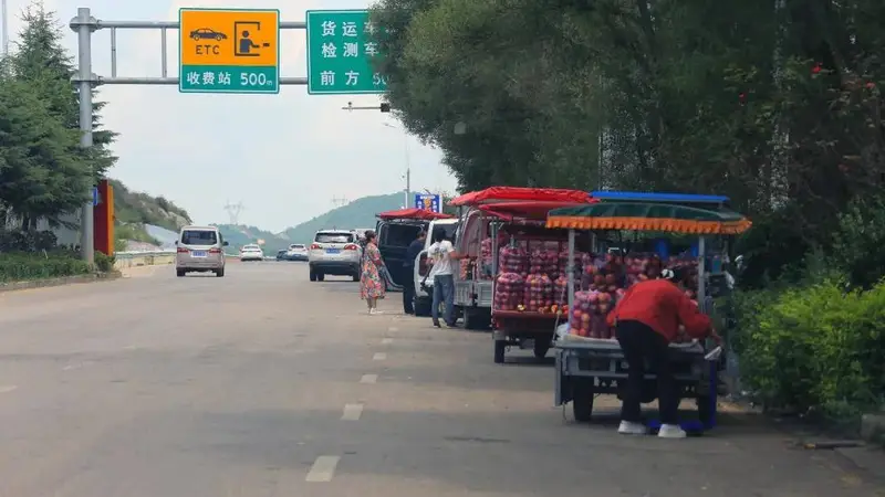 记者调查:威宁苹果频遭游客投诉?原因找到了!