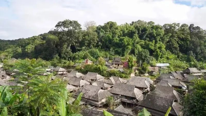 纵五·古道秘境丨澜沧自驾,重走茶马古道,感受茶乡民族风情
