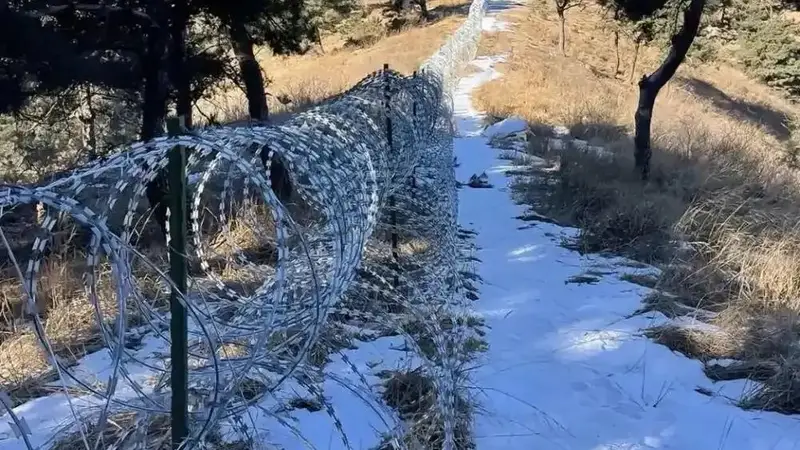 泰山外围建135公里滚筒式刀片刺绳隔离铁丝网，景区回应批评