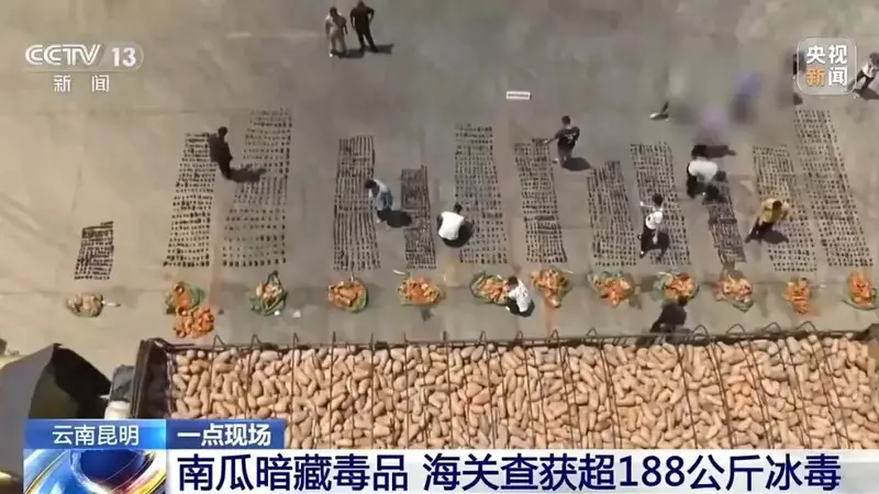 南瓜暗藏毒品,昆明海关查获超188公斤冰毒