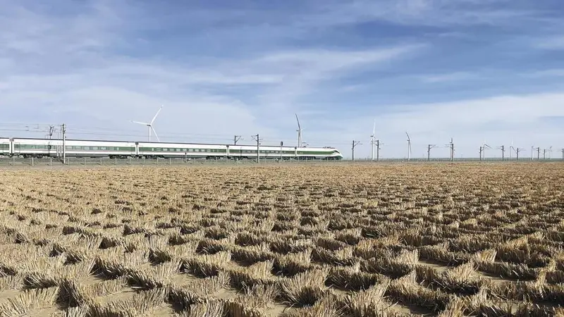 【天路逐梦·青藏铁路通车20周年纪行】戈壁织“方格” 天路筑“沙锁”