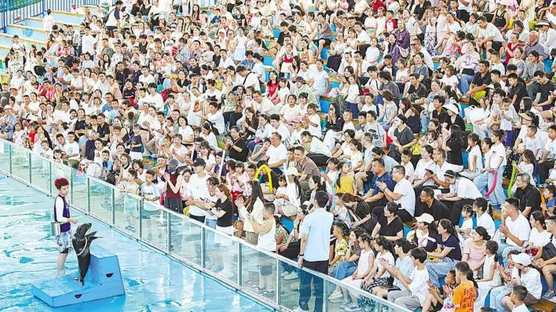 暑期旅游升温主题乐园人气旺