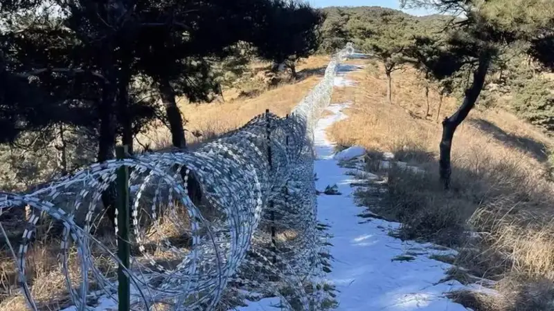 泰山“刀片网”将拆,追责不能停