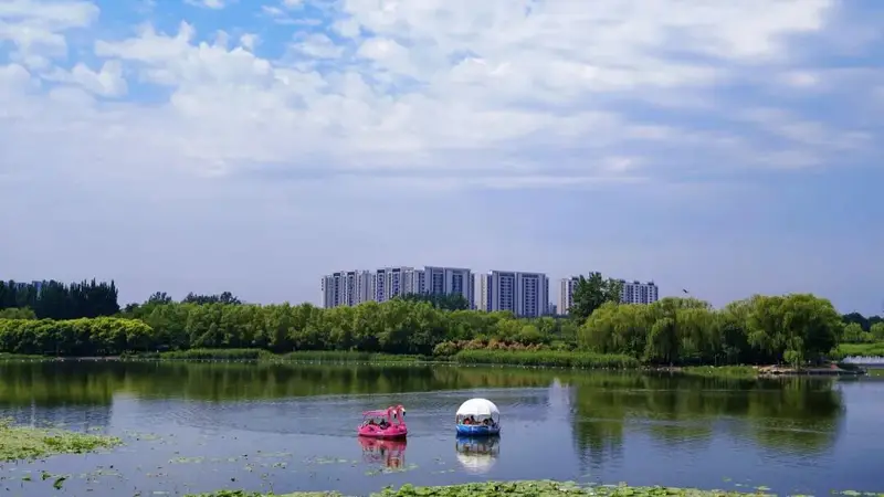 大兴避暑好去处!树荫湖水环抱,自带天然“空调”