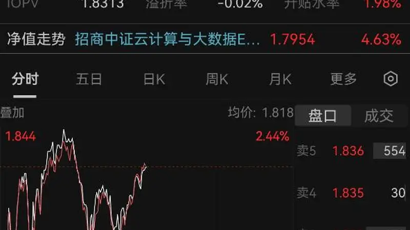 权重股催化不断，中际旭创H股IPO发行价公布，云计算ETF招商（159890）午后延续涨势