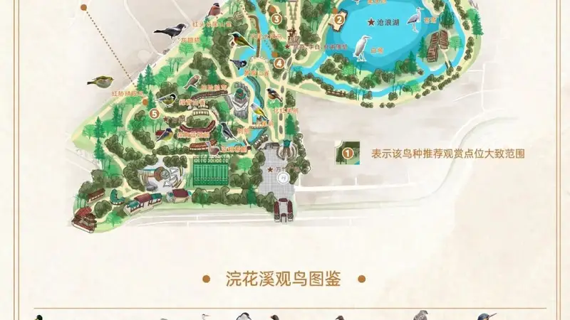 一园看遍259种鸟类！浣花溪公园观鸟地图上新