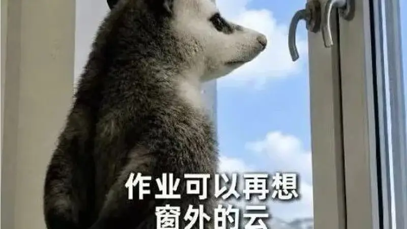一高校录取通知书附带30份作业，新生：不嘻嘻...