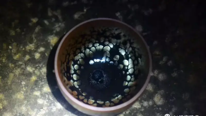 喝茶吧,稳赚不赔!
