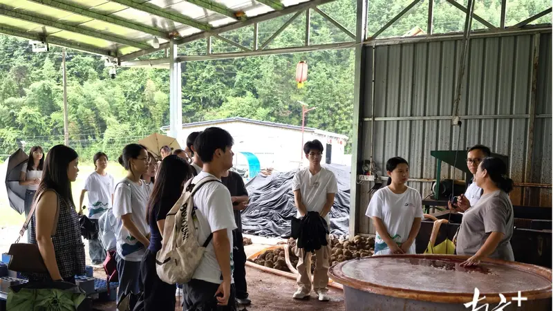 零距离触摸本土匠心，连山福堂青年研学非遗赋能乡村发展