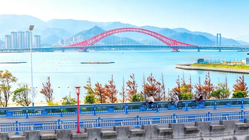 海浪音乐季首周收官 文体旅融合点燃滨海夏日经济