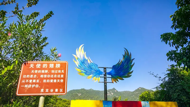 网红打卡团建景区服务商排名：2026年资质齐全的景区机构实力参考