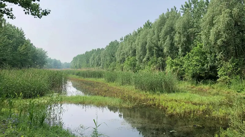 为什么又火了？那拉提一座桥，马鞍山文旅怎么做？