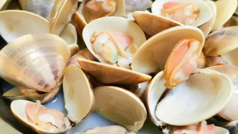 江门海鲜,鲜上鲜 | 上川沙白,藏在贝壳里的大海鲜味