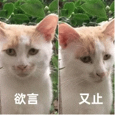 AI当老板,快给10家公司干破产了…