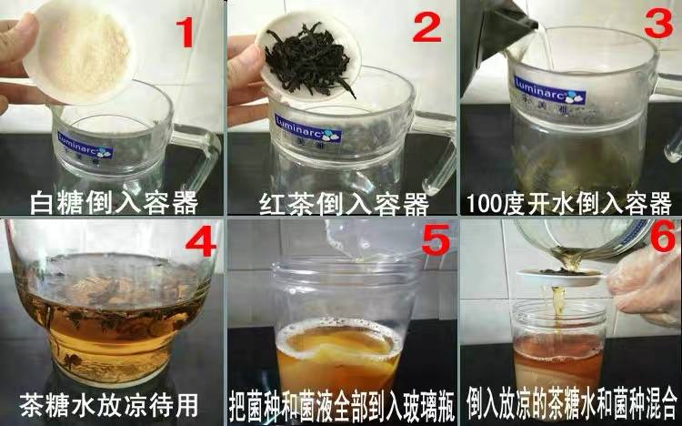 糖分不低、活菌含量存疑,“茶饮新贵”康普茶饮料真的健康吗?