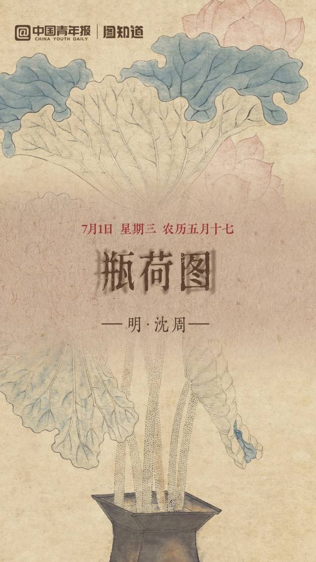 图知道|《瓶荷图》:方口褐瓶 粉荷生香