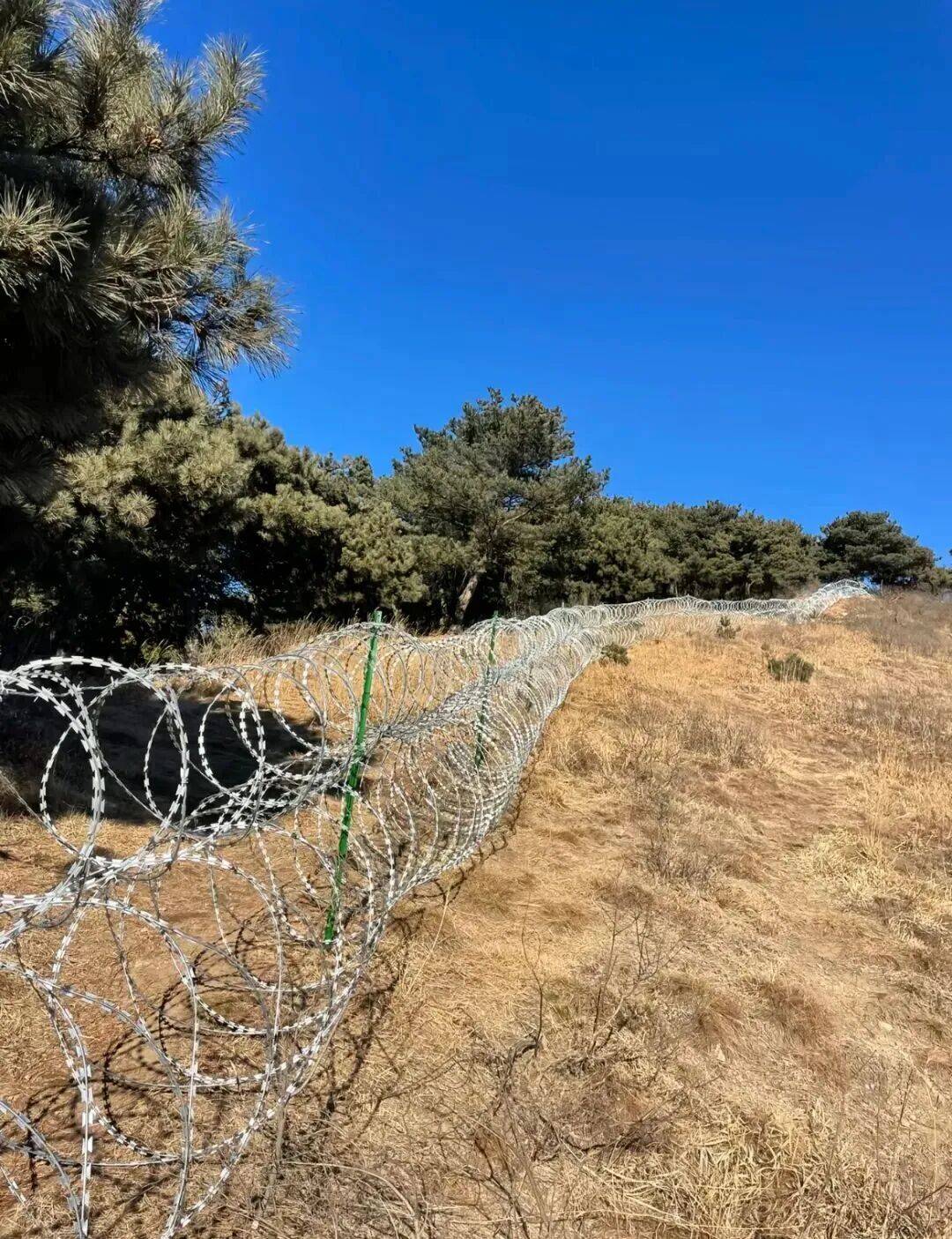 泰山建“刀片刺绳铁丝网”引关注,景区回应