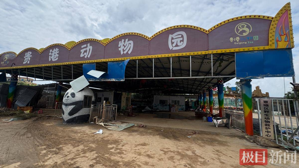 贵港动物园被淹后只剩寥寥几只动物，园方回应“锁死笼舍致3狮溺亡”争议：村落密集怕它们逃出伤人，辛苦养大我们也舍不得