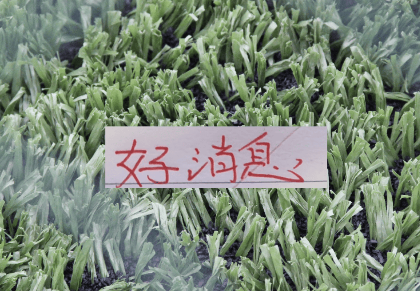 好消息!北京国安10号发文报平安 之前入选5月官方最佳候选人
