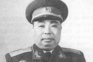 许世友为何能在文革做英雄？聂凤智一语道破：你比那些老帅还厉害？