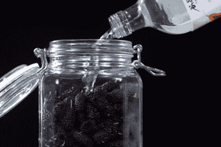 桑葚桑果泡酒用什么酒最好?最全选择指南揭晓