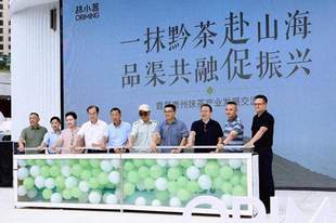首届贵州抹茶产业发展交流会圆满举行，抹小茗全国五店同启！