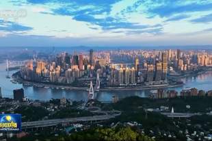习近平总书记今年以来治国理政纪实丨砥砺初心使命 把党建设得更加坚强有力
