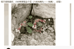 轻松一刻:当你发现朋友们在准备一个没和你说过的旅游计划~