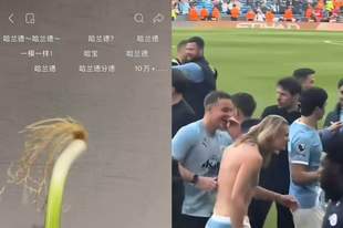 浏览量破亿哈兰德本尊回复！爆火的“哈兰葱”竟是重庆小伙花一小时精挑的蒜苗