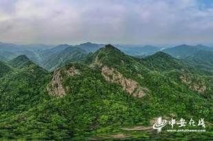 邓彩云：合肥之巅，飒飒凌空