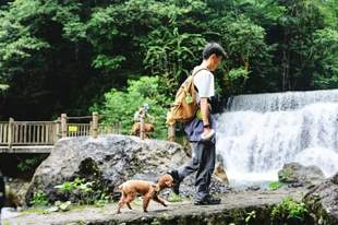 今起西岭雪山后山半山对宠物正式开放
