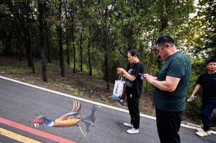 贾汪：大洞山彩虹步道焕新 登山成自然科普趣味之旅