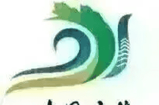 永济入选全省暑期宝藏小城慢游清单!