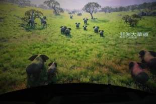 亲子游玩新去处!青岛西海岸新区金沙滩啤酒城推出幻境乐园光影游乐项目