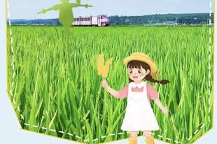风吹稻浪满田园!光东村美翻了