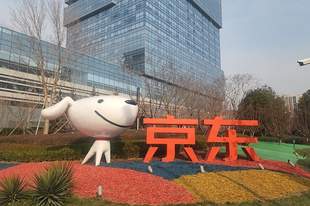 二季度服务收入占比升至22.9% 利润修复:京东的“盈利拐点”成色几何?