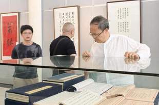 胡昌华百余件书法精品长沙展出 呈现浓郁书卷气