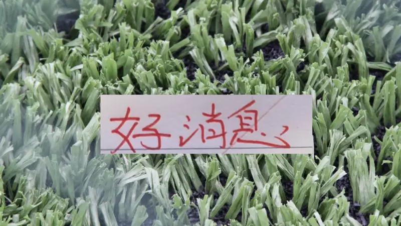 好消息！北京国安10号发文报平安 之前入选5月官方最佳候选人