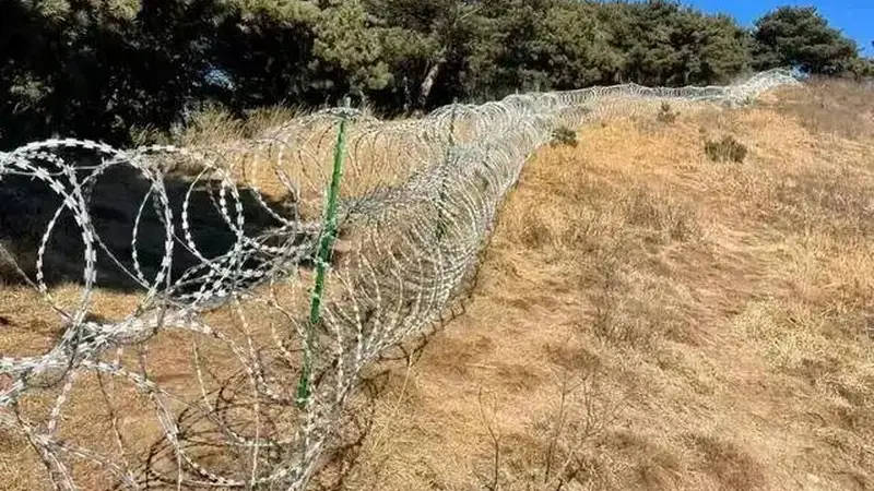 泰山的刀片网，围住的不只是山